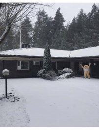 Vuoden 2025 Suositelluin sotetyöpaikka: työhyvinvointi, asiakaslähtöisyys ja parhaat käytännöt sote-työyhteisöille 